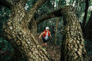 BIB: 
                            <button type="button" onclick="openModal(25392698)" class="btn btn-primary btn-sm float-right btn-popup" data-toggle="modal" data-target=".modal-high-quality">
                        <i class="fas fa-shopping-cart"></i> Add to Cart
                    </button>
                                            <button type="button" onclick="isThisMe(25392698, true)" class="btn btn-success btn-sm float-right btn-popup btn-isme hidden" data-toggle="tooltip" data-placement="bottom" title="นี่คือรูปของคุณใช่ไหม คลิกที่นี่เพื่อเอาเข้าอัลบั้ม">
                        <i class="fas fa-plus"></i> Add to album
                    </button>
                    <button type="button" onclick="isThisMe(25392698, false)" class="btn btn-warning btn-sm float-right btn-popup btn-isnotme hidden">
                        <i class="fas fa-ban"></i> Remove from album
                    </button>